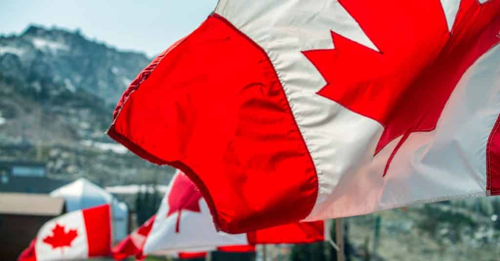 canadian flags