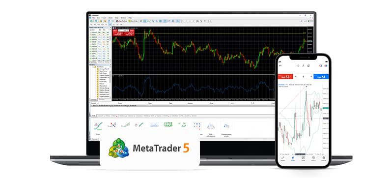 MetaTrader platform